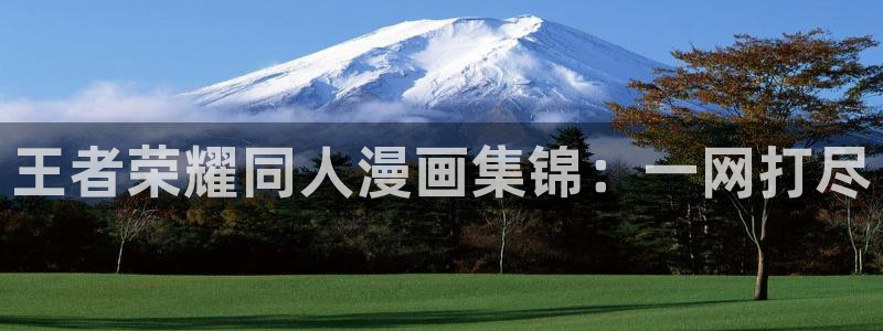 虫虫漫画免费漫画完结篇：王者荣耀同人漫画集锦：一网打尽