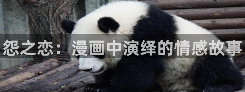 虫虫漫画官网页面免费漫画入口：怨之恋：漫画中演绎的情感故事